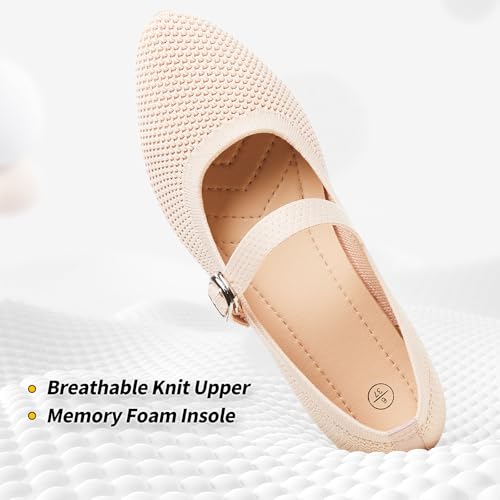 Mesh Ballet Flats for Women,Women's Mary Jane Flats with Buckle Strap,Black Nude Foldable Flats Shoes for Women,Comfortable